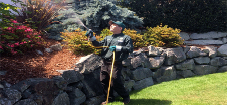 Landscape Pest Treatment