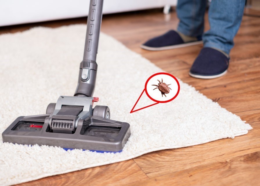 fleas-pest-control